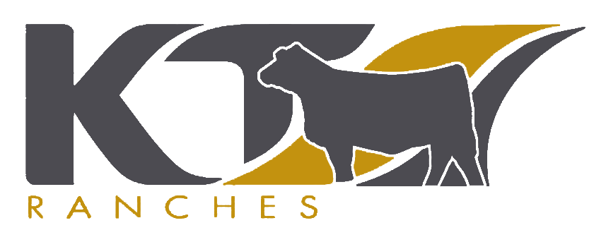KT Logo