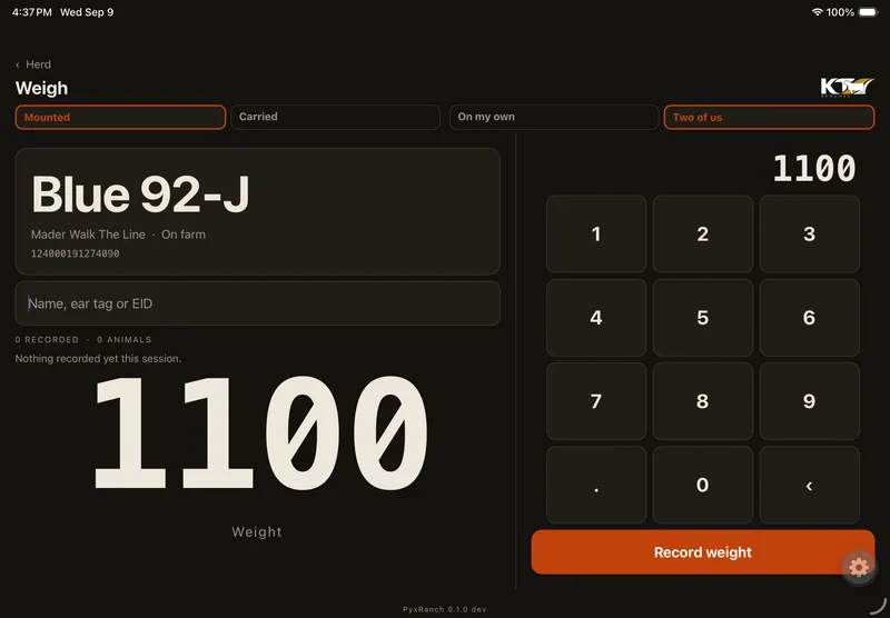 PyxRanch on an iPad at the chute: the weigh screen for one animal, with a large keypad and a Record weight button